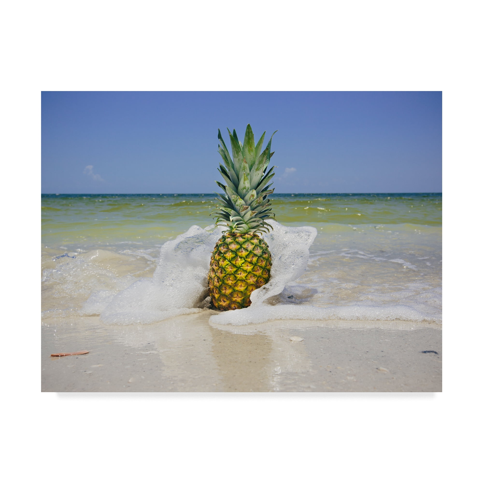 South Florida Pineapple IV' Canvas Art by Adam Mead