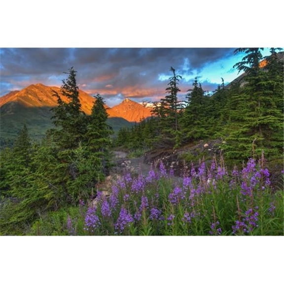 South Fork Trail Near Eagle River At Sunset On A Summer Day in South Central Alaska Poster Print by Michael Jones, 19 x 12
