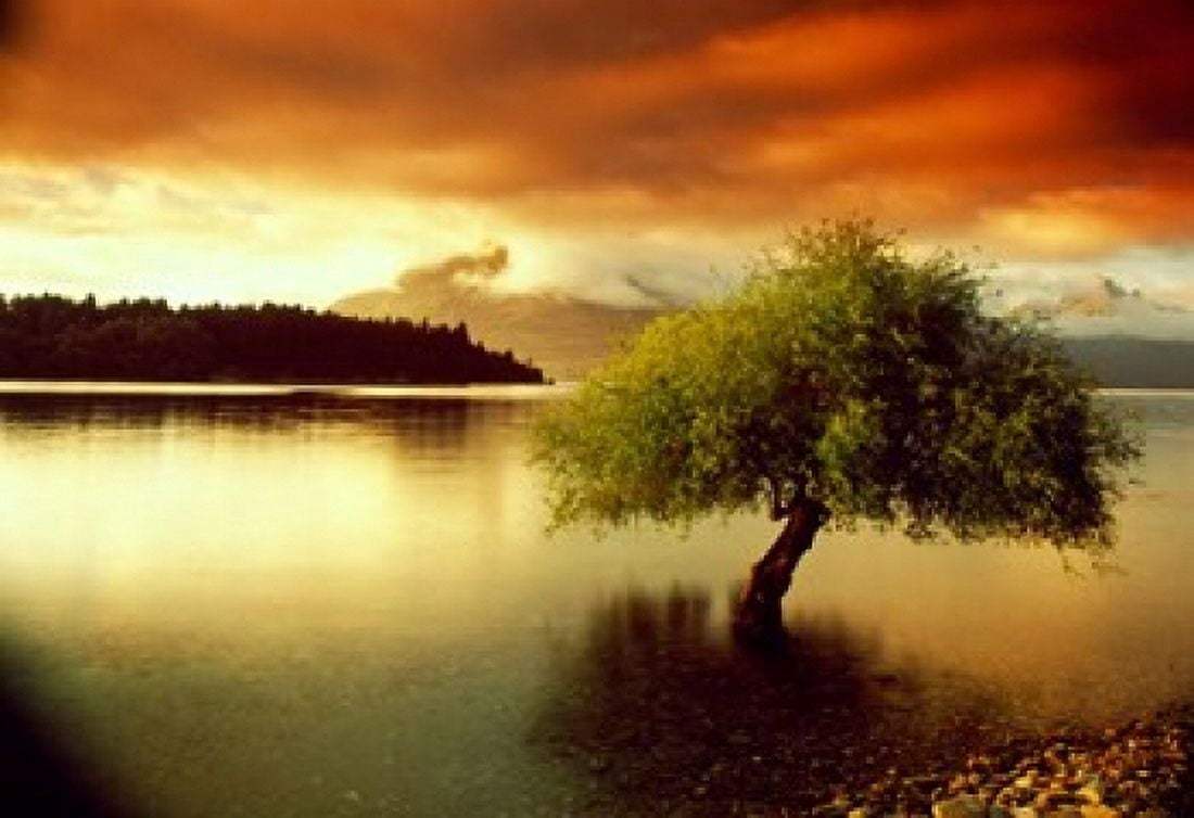 South Island New Zealand Canvas Art - Panoramic Images (18 x 12)