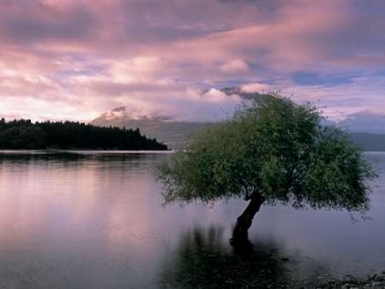 South Island New Zealand Canvas Art - Pete Seaward (18 x 24)