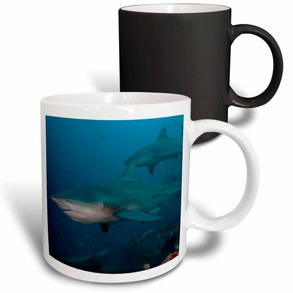 3drose, South Pacific, Fiji. Bull Sharks., 11oz Magic Transforming Mug