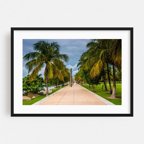 South Point Park Palms - Miami Florida Photography Black Framed Wall Art Print 16 x 24 inches