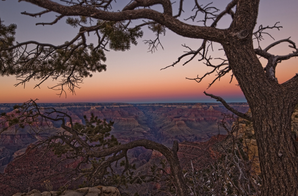 South Rim Of Grand Canyon At Dusk Arizona Canvas Art - Robert Postma Design Pics (17 x 11)
