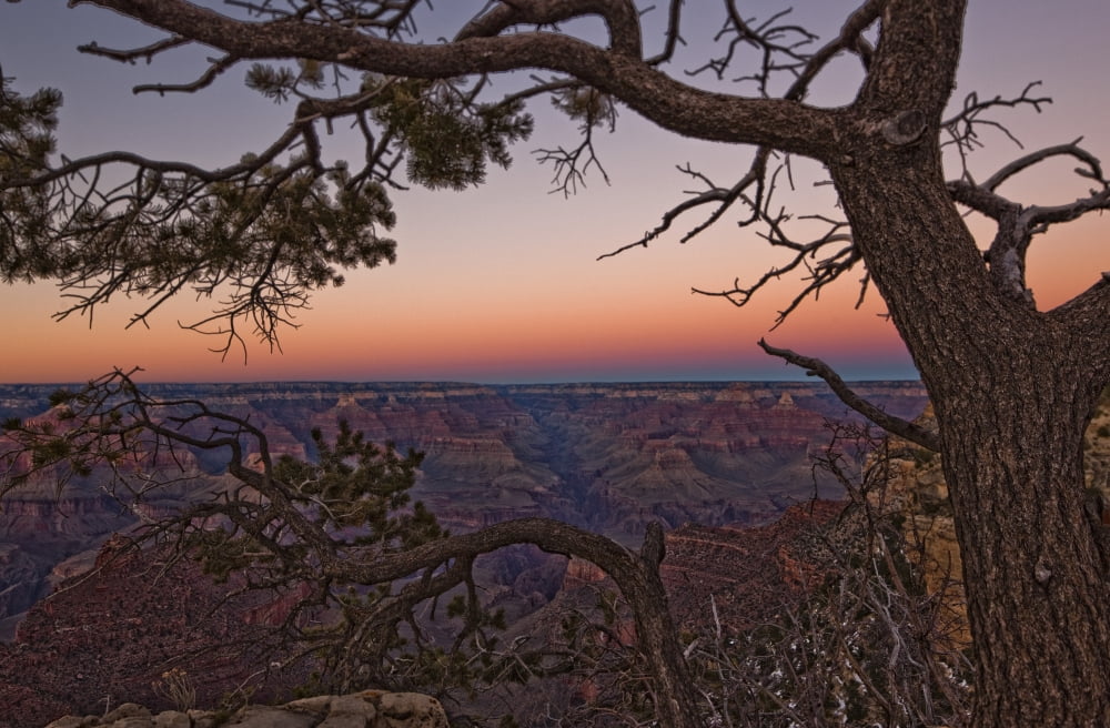 South Rim Of Grand Canyon At Dusk Arizona Canvas Art - Robert Postma Design Pics (34 x 22)