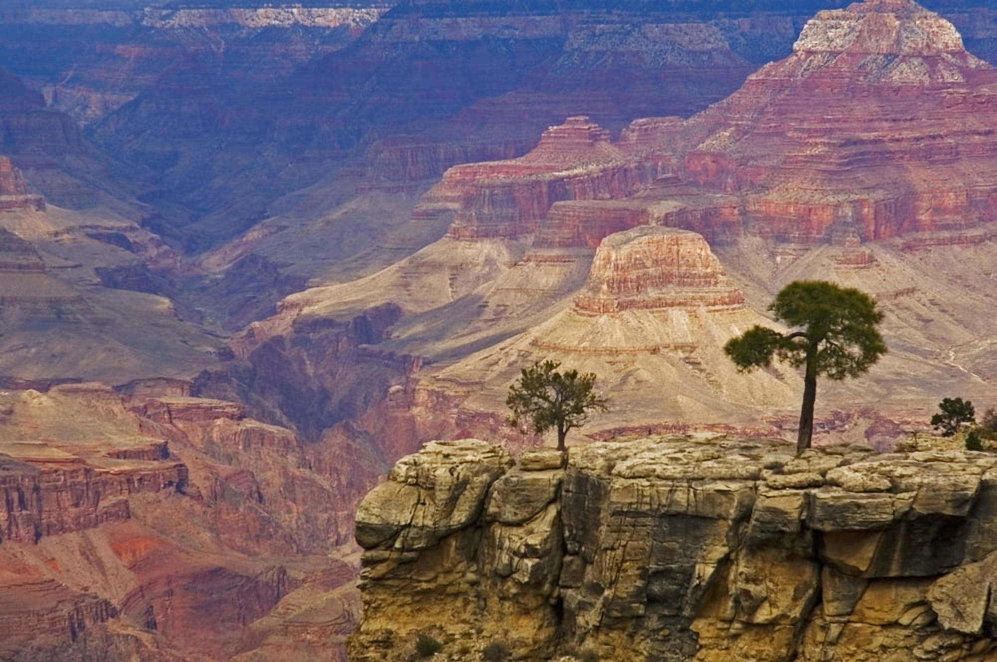South Rim Of Grand Canyon Elevated View Canvas Art - Chris Parker  Design Pics (19 x 12)