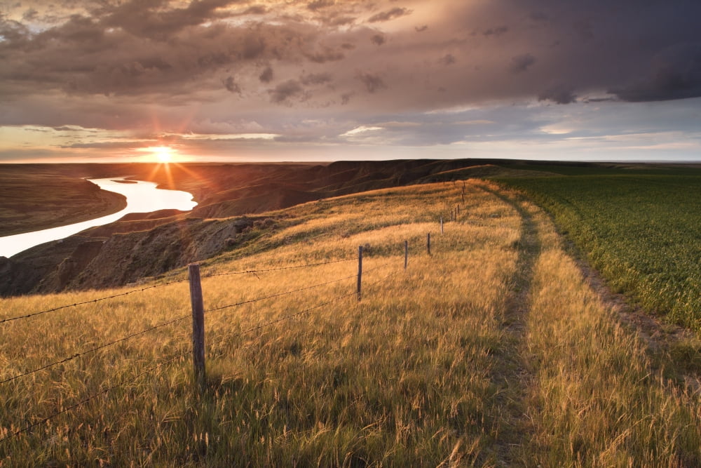 South Saskatchewan River Near Leader Saskatchewan Canvas Art - Darwin Wiggett Design Pics (17 x 11)