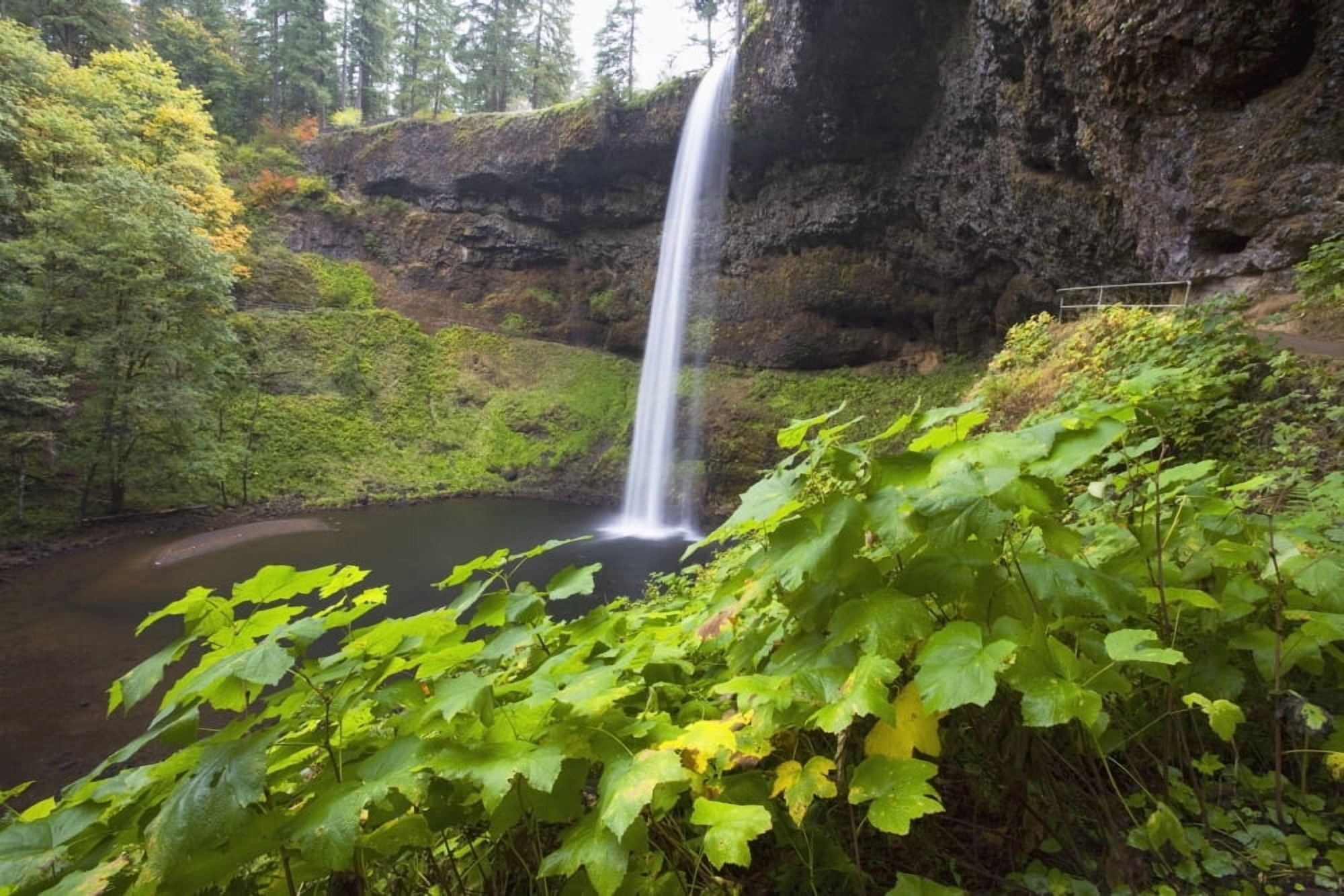 South Silver Falls Silver Falls State Park Oregon Usa Canvas Art - Craig Tuttle Design Pics (19 x 12)