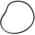 thumbnail image 1 of Southeastern Accessory Seal Plate Pump Housing Square Cut O-Ring for Pentair High Flow Challenger 355329 O-506, 1 of 1
