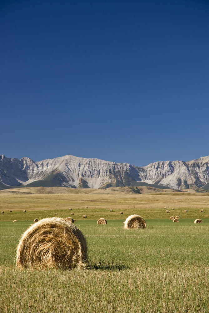 Southern Alberta Canada Hay Bales Canvas Art - Philippe Widling Design Pics (11 x 17)