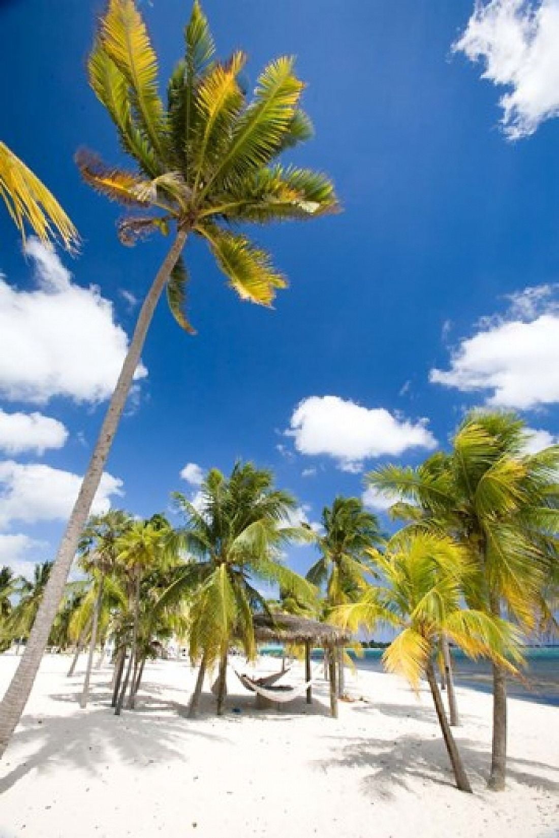 Southern Cross Club Little Cayman Cayman Islands Caribbean Canvas Art - Greg Johnston DanitaDelimont (18 x 26)