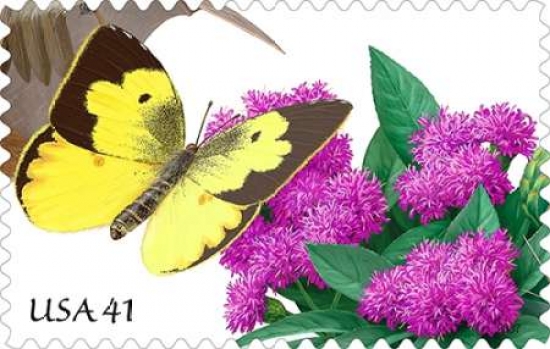 Southern Dogface Butterfly Canvas Art - US POSTAL SERVICE (24 x 36)