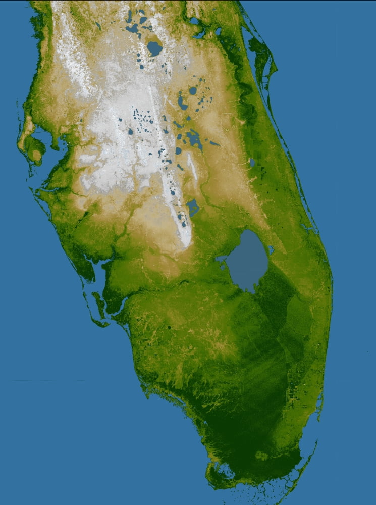 Southern Florida Canvas Art - Stocktrek Images (25 x 33)