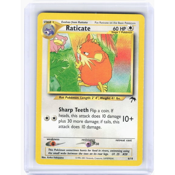 Pokemon Southern Islands Raticate Non-Foil Promo #6/18 Trading Card