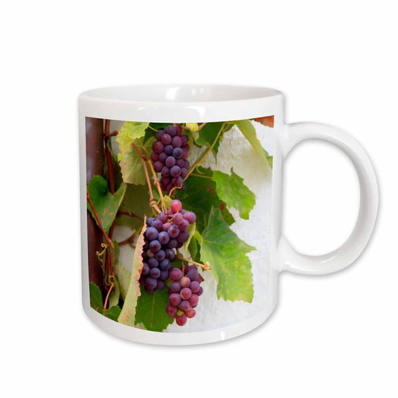 3drose, Southern Italy, Puglia. Ripe Grapes on Vines., 15oz Mug