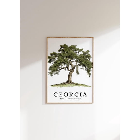 Southern Live Oak Tree : Georgia State Symbol Art Unframed Paper Print