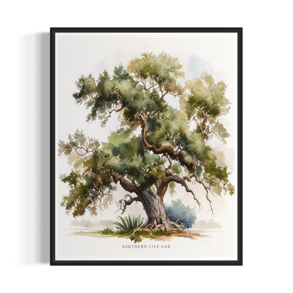Southern Live Oak Tree Wall Art Print, Woodland Decor
