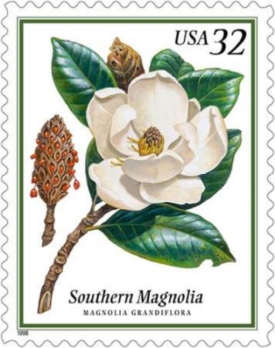 Southern Magnolia Canvas Art - US POSTAL SERVICE (24 x 30)