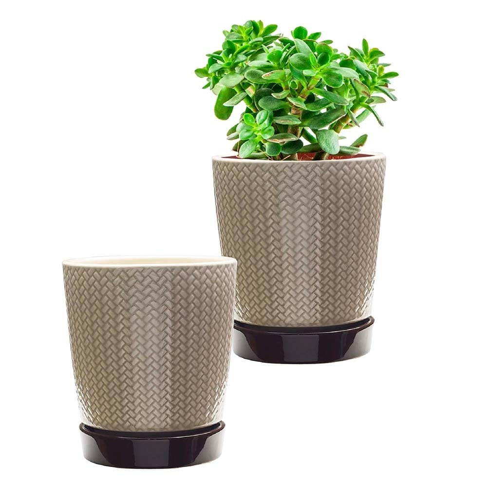 Light Brown and Dark Base Ceramic Pot Planter