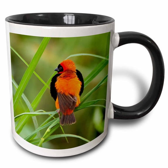 3drose, Southern Red Bishop, Serengeti Np, Tanzania., 15oz Two-tone Black Mug