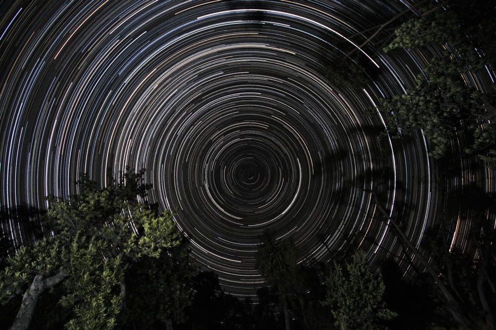 Southern Sky star trails over Banksia Trees Canvas Art - Philip HartStocktrek Images (34 x 23)