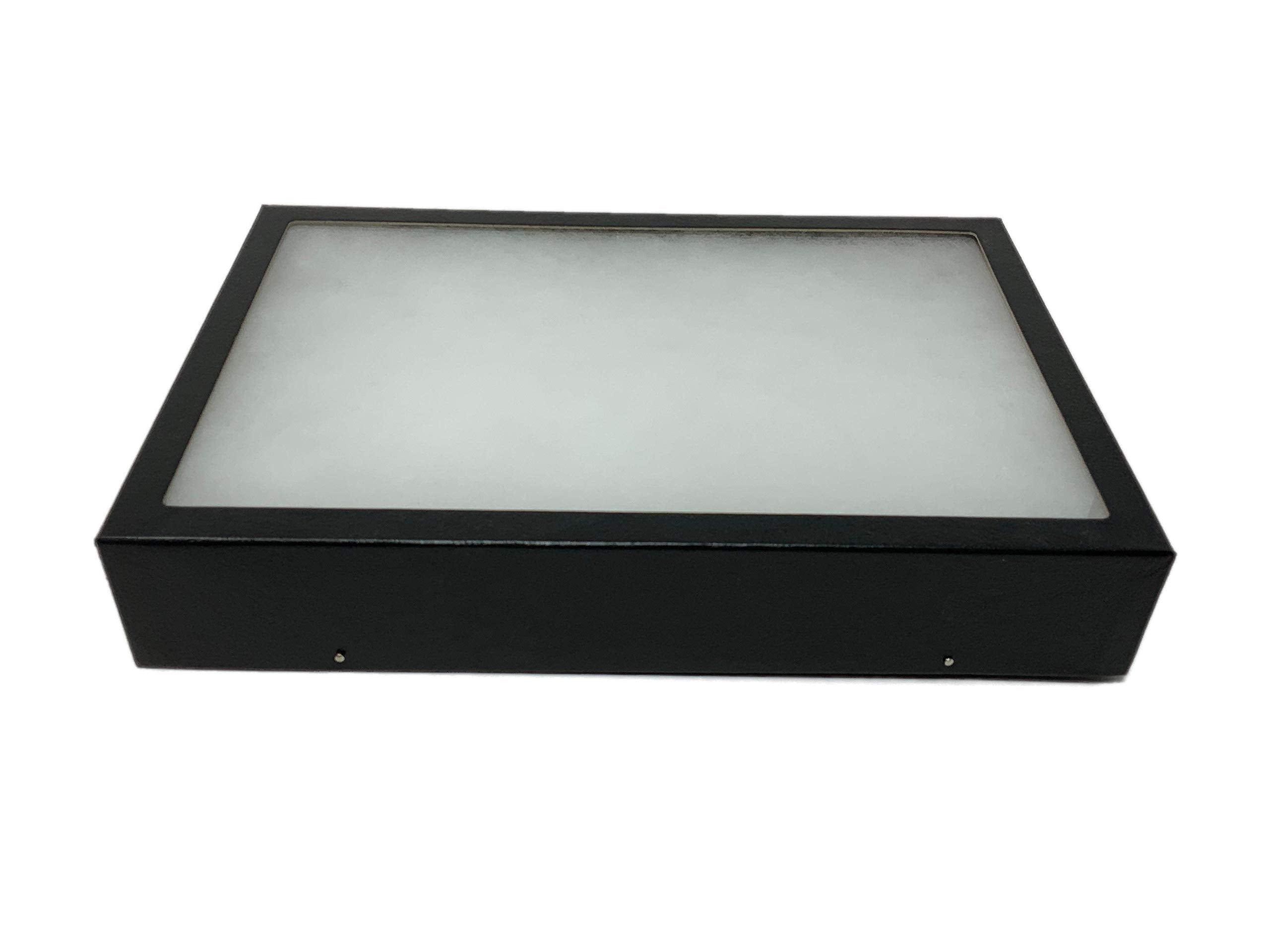 Southern Star Riker Display Case 8 x 12 x 2 for Collectibles Jewelry ...