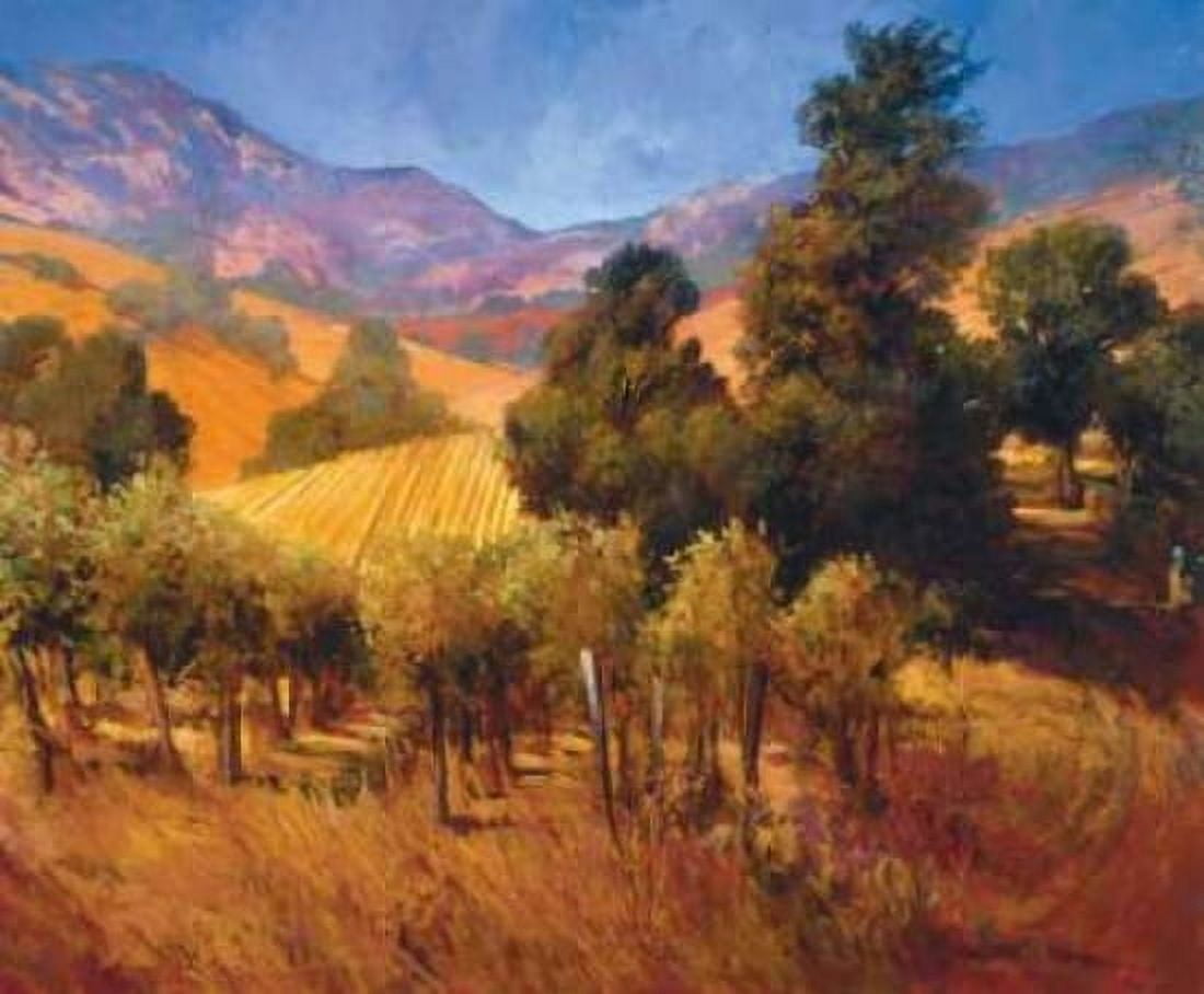 Southern Vineyard Hillside Canvas Art - Philip Craig (20 x 24)