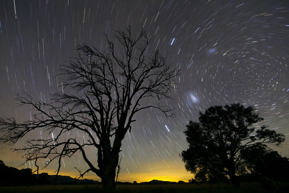 Southern skies star trails Mudgee New South Wales Australia Canvas Art - Philip HartStocktrek Images (35 x 23)