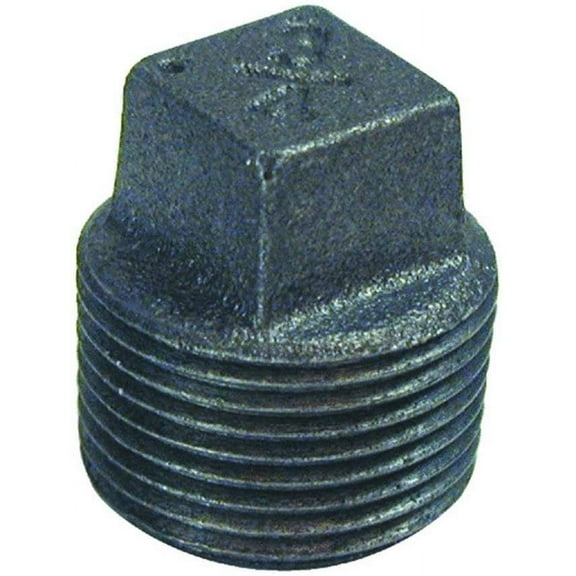 Southland 521-805HN 1" Black Square Head Plugs