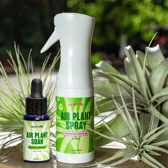 Southside Plants Air Plant Fertilizing Spray