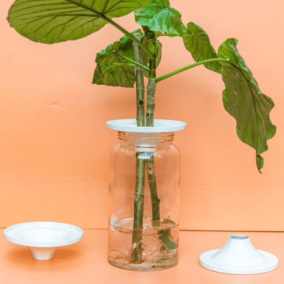 Southside Plants Aluminum Propagation Cone - Lightweight, Durable & Reusable Glass Vase Stand - Help Plant Holder Grow Your Own Plant | Pack of 3 (White)