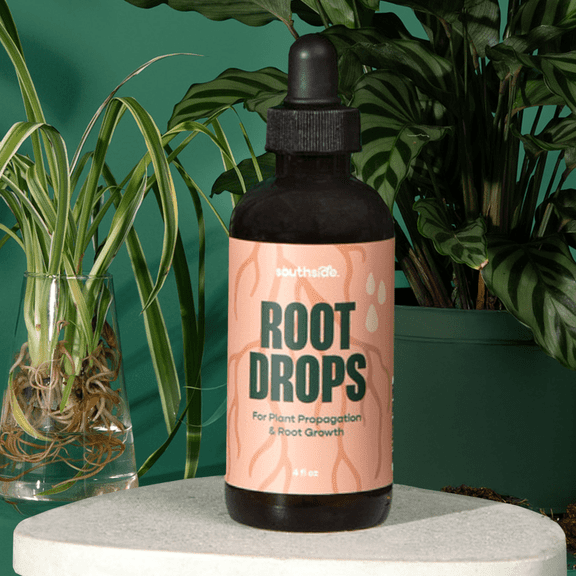 Southside Plants Root Drops