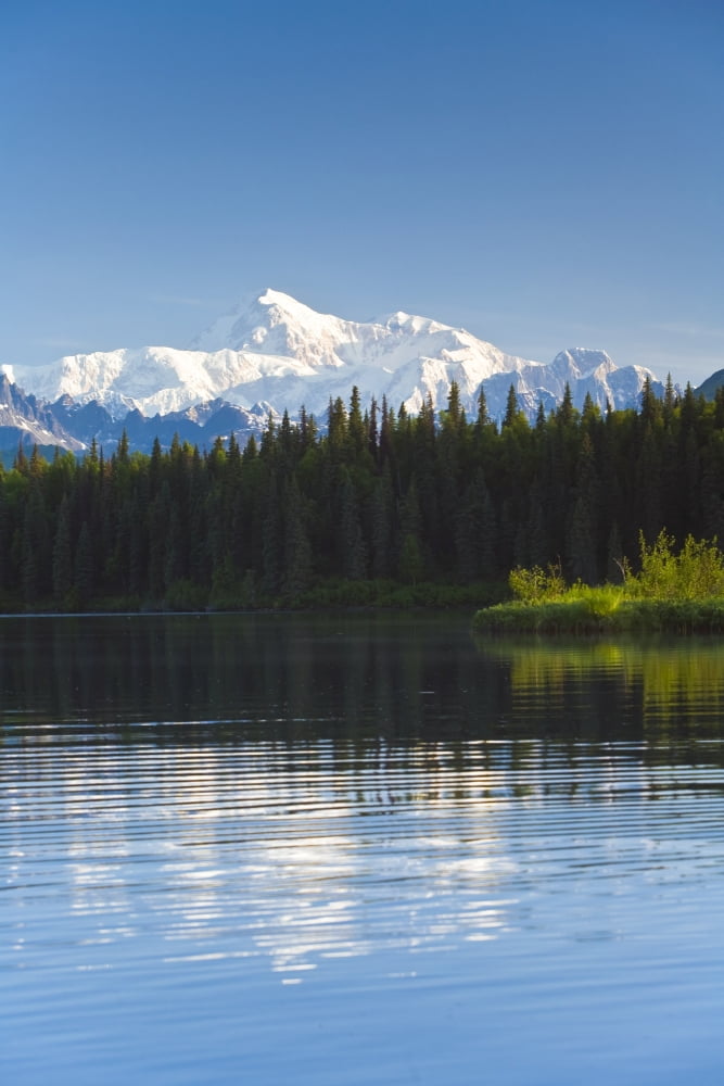 Southside View Of Mt Mckinley Seen From Byers Lake State Park During Summer In Southcentral Alaska Canvas Art - Michael DeYoung Design Pics (11 x 17)