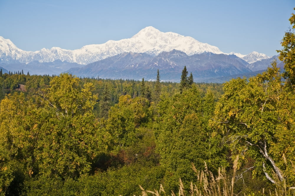 Southside View Of Mt Mckinley Autumn Southcentral Alaska Canvas Art - Jeff Schultz Design Pics (17 x 11)