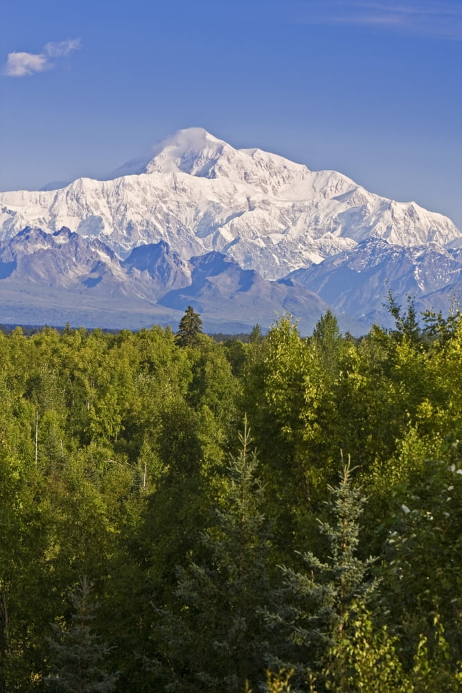 Southside View Of Mt Mckinley Summer Southcentral Alaska Canvas Art - Jeff Schultz Design Pics (11 x 17)
