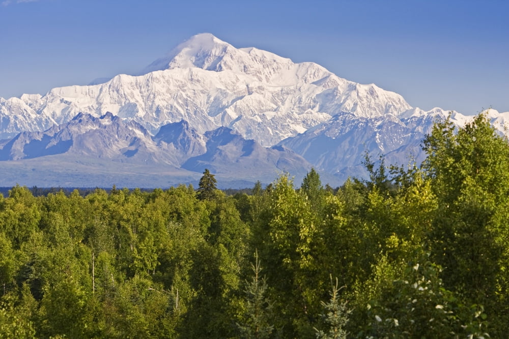 Southside View Of Mt Mckinley Summer Southcentral Alaska Canvas Art - Jeff Schultz Design Pics (17 x 11)