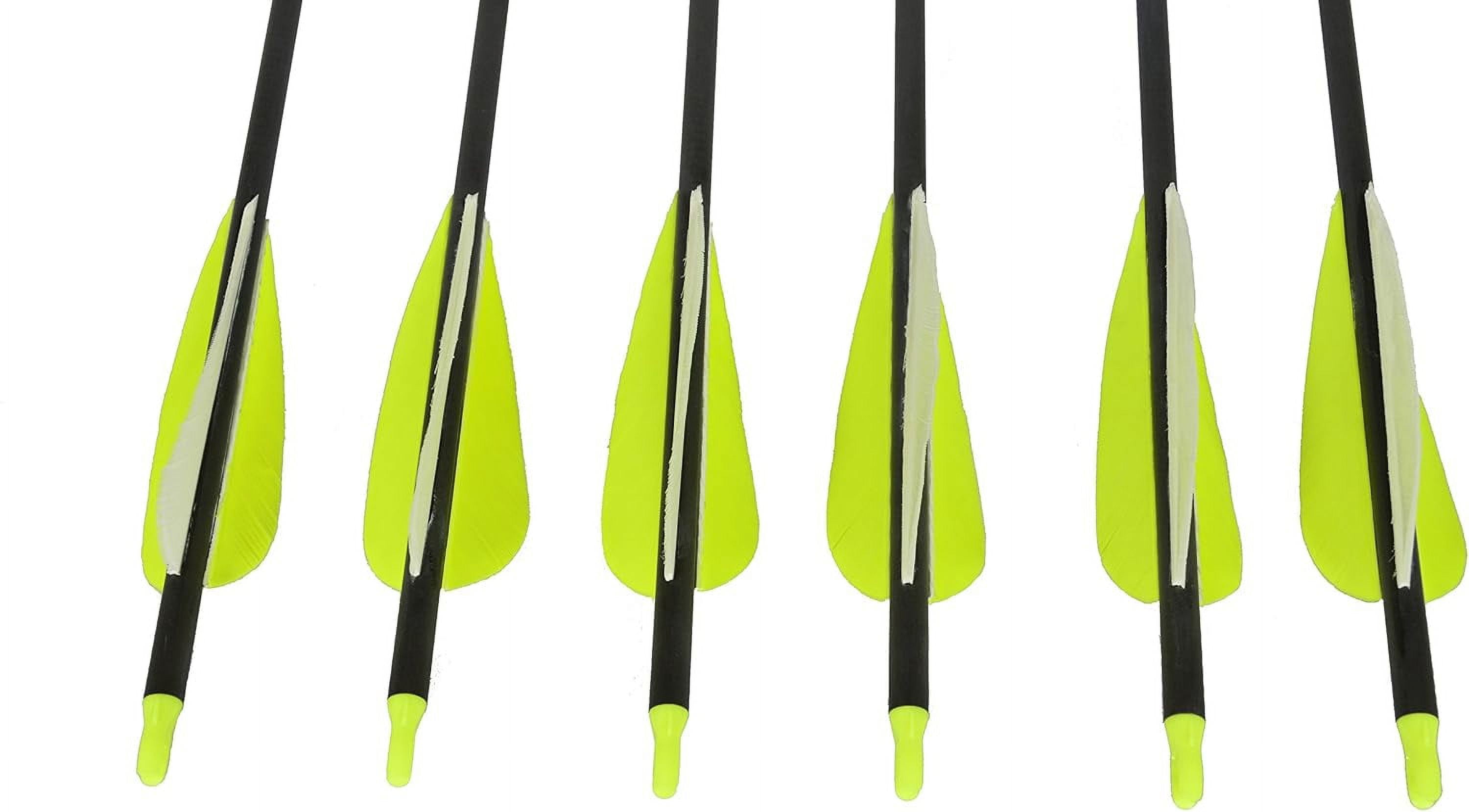 Southwest Archery Sage Premium Recurve Carbon Arrows 31.5" 6/12 Pack