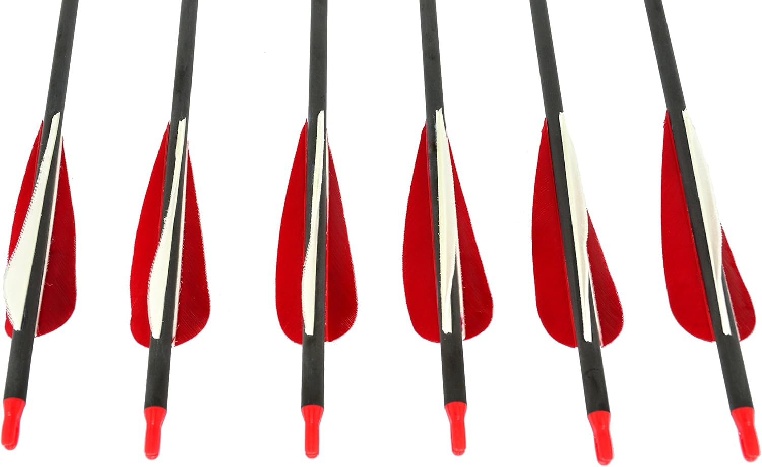 Southwest Archery Sage Premium Recurve Carbon Arrows 31.5" 6/12 Pack