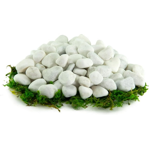 Southwest Boulder & Stone Porcelain White Pebbles | 20 lbs | Natural Rocks, White Stones for Potted , Gardening, Succulents, Aquariums, Terrariums, and More 1 Inch - 2 Inch