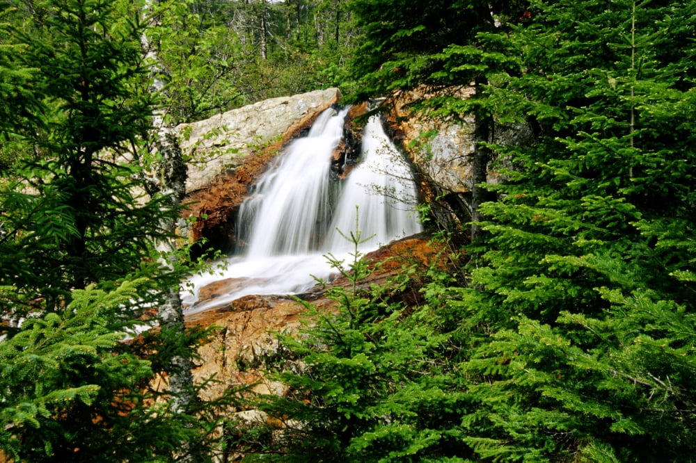 Southwest Brook Falls Gros Morne National Park Newfoundland Canvas Art - Mike Grandmaison Design Pics (18 x 12)