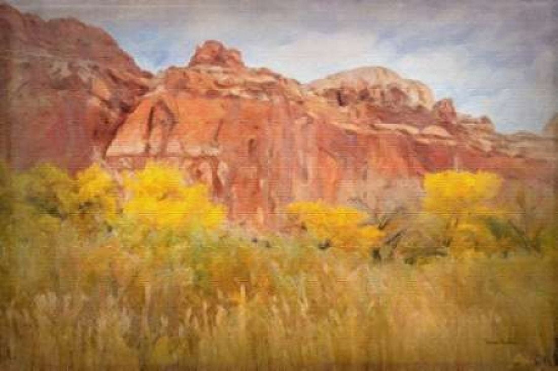 Southwest Splendor Canvas Art - Ramona Murdock (24X36)