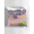 Southwestern Desert Wildflower Landscape Throw Pillow Cover, Double ...