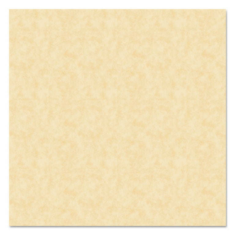 8 1/2 x 11 Parchment Paper