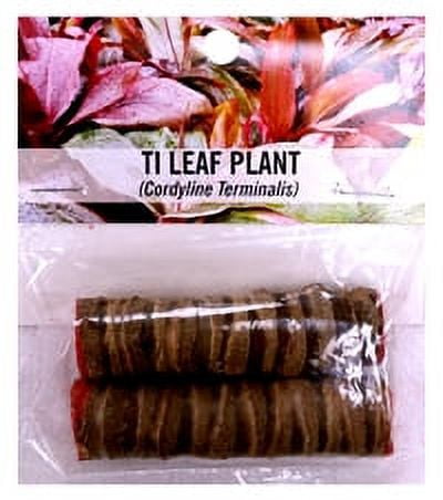 Souvenir Plant Cutting-tilog