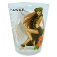 thumbnail image 1 of Souvenir Shot Glass Shot Glass - G1, 1 of 1
