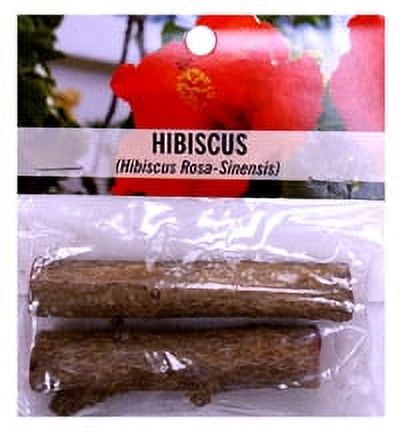 Souvenir Souvenir Hibiscus 12" Red Hibiscus Live Plants in 4" Grower Pots, Ideal for Colorful Yards