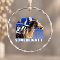 Walmart Racing Game Sovereignty Horse, Horse Racing, Santa Anita, Del Mar, Horse Christmas ...