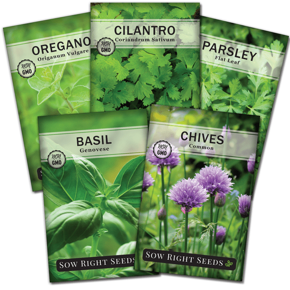 Sow Right Seed Herb Garden Collection Plant Seeds 5 Pack, Non-GMO