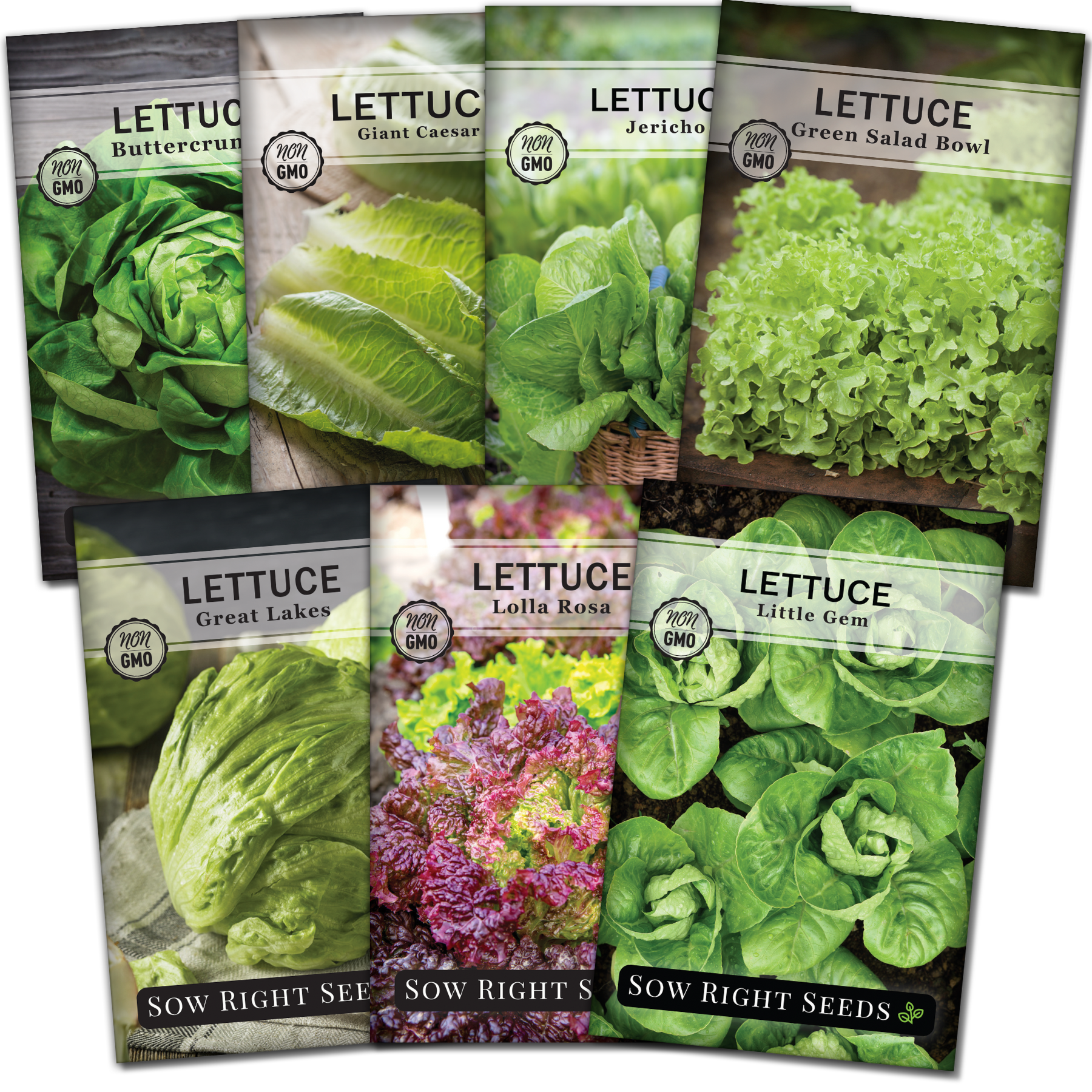 Sow Right Seeds Lettuce Seeds Collection Plant Seeds 7 Pack, Non-GMO