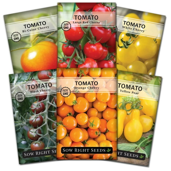 Sow Right SeedsEGSC- Cherry Tomato Seed Collection for Black, Large Red, White, Orange, Bi-Color Cherry and Yellow Pear Tomatoes - Non-GMO Heirloom Varieties to Plant a Home Vegetable Garden