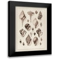 thumbnail image 1 of Sowerby, G.B. 11x14 Black Modern Framed Museum Art Print Titled - Shells: Sessile Cirripedes #3 (Sepia), 1 of 5
